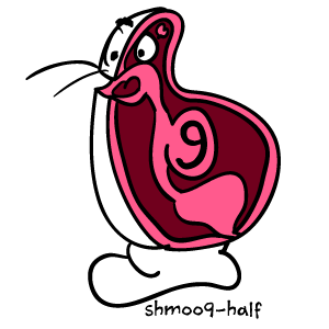 shmoo9-half
