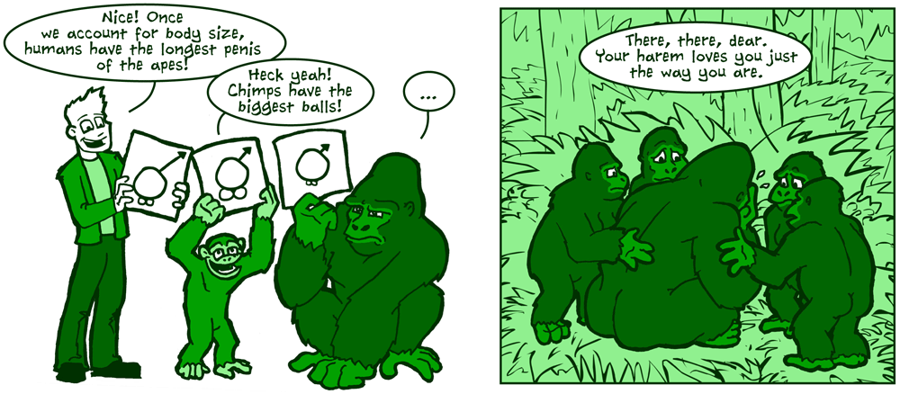 Apes talking about genitals!